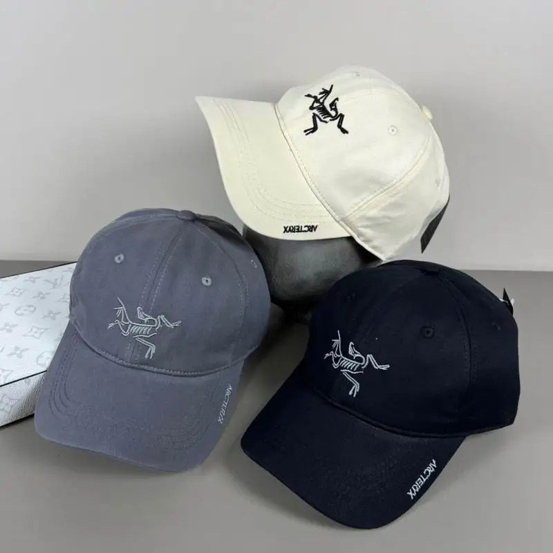 Arcteryx cap dx17